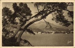 CPA Menton Cap Martin Matinee de Printemps au Cap Martin