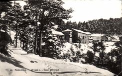 VINTAGE POSTCARD Peira Undermined Under the niege