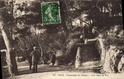 CPA Nice Promenade du Chateau Une Allee de Pins