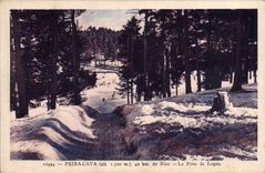 VINTAGE POSTCARD Peira Undermined Of Nice Piste Toboggans