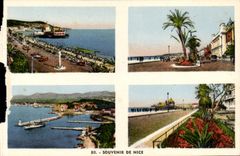 Recuerdo de la POSTAL de la VENDIMIA Niza