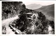 VINTAGE POSTCARD Peira Undermined the Laces of the Collar of the Elm