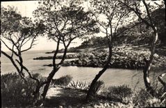 VINTAGE POSTCARD Gold Cornice a Creek