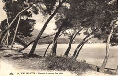 VINTAGE POSTCARD Cape Martin Menton through the Pines