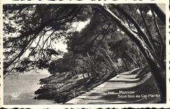 VINTAGE POSTCARD Cape Martin Menton Under Wood in the Cape Martin