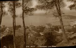 POSTAL de la VENDIMIA Niza a través de los pinos