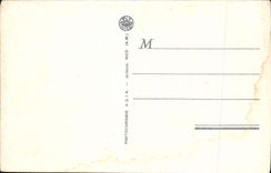 VINTAGE POSTCARD Nice Public garden Albert 1st the Pastoral one