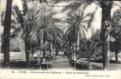 VINTAGE POSTCARD Nice Walk of the Castle Gone of palm trees