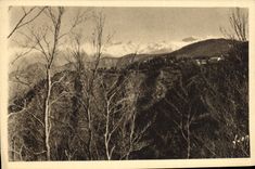 CPA Peira Cava et la chaine des Alpes