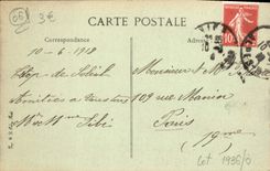 CPA Nice Groupe de Palmiers au Jardin Public