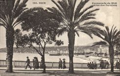 VINTAGE POSTCARD Nice Walk of the South Gone of the Palm trees