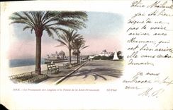 VINTAGE POSTCARD Nice the Walk of the English and the Palate of the Pier Walk