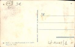 CPA Nice La Jetee Promenade et le Jardin Albert 1er Citrons