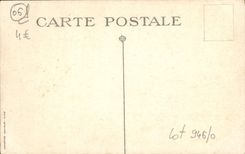 CPA Nice La Vegetation