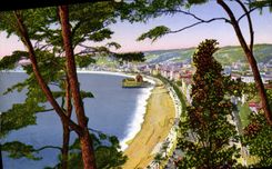 CPA Nice Vue Generale