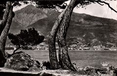 VINTAGE POSTCARD Menton Seen from of the Cape Martin