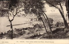 POSTAL de la VENDIMIA Niza vista entre el montaje del boro de los pinos