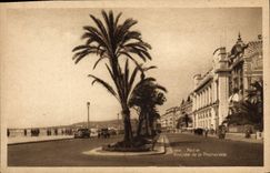 VINTAGE POSTCARD Entered Nice of the Walk