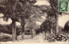 CPA Nice Promenade du Chateu Allee des Paimiers