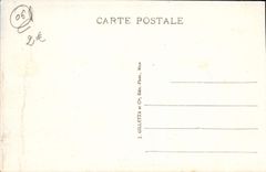 VINTAGE POSTCARD Nice Palm trees of the castle