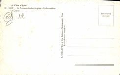 POSTAL MODERNA Niza la caminata del Gallus inglés de la etapa de aterrizaje