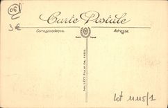 Ajuste Sun del efecto de la POSTAL de la VENDIMIA Niza