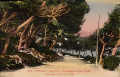 VINTAGE POSTCARD Menton Under Wood Walk of the Cape Martin