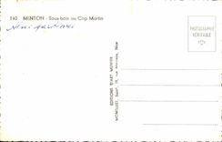 MODERN CARD Menton Under Wood in the Cape Martin