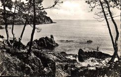 MODERN CARD Cannes Trayas