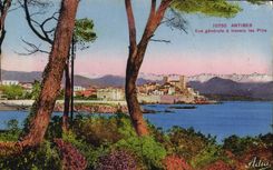 CPA Antibes Vue Generale A Travers les Pins