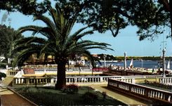 CPM Juan Les Pins Les Jardins