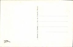 CPA Beaulieu Sur Mer Vue Generale