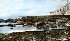 CPM Mers Les Bains Falaises Et Les Rochers a maree basse