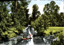 MODERN CARD Arcais the Large Drain