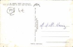 MODERN CARD Venice Green Fishing and pastures in full heart of the marshes