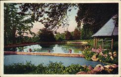VINTAGE POSTCARD Vault Stick the Pond Of Loges