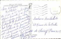 CPM La Cote D'Azur Coucher De Soleil A Travers Les Pins Parasols