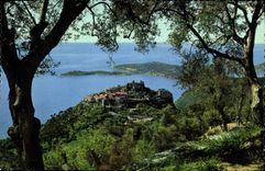 CPM Eze Entree Les oliviers et Cap Ferrat