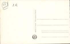 VINTAGE POSTCARD Nice Garden Of King Albert 1st Floors Of flowers And palm trees