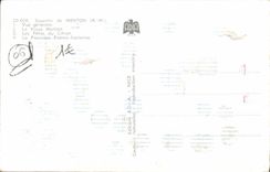 CPM Souvenir De Menton Vue Generale Les fetes du citron