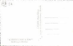 MODERN CARD Blackcurrant the creek of In vau