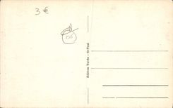 VINTAGE POSTCARD Saint Paul View