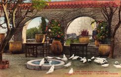 VINTAGE POSTCARD Saint Paul Of the VAr Inn of the Gold Dove a corner of the terraces