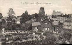 VINTAGE POSTCARD Mans Botanical garden a Beautiful Corner