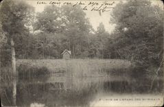 CPA Vue De L'Etang Des Murieaux