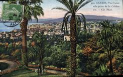 VINTAGE POSTCARD Cannes View Taken of California