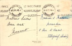 VINTAGE POSTCARD Perpignan the Low one and Canigou