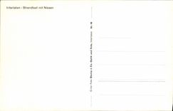 MODERN CARD Interlaken Strandbad MIT Niesen