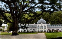 MODERN CARD St les Bains Honors the Oak Centenary and the hydropathic establishment