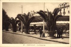CPA Perpignan Le Palmarium